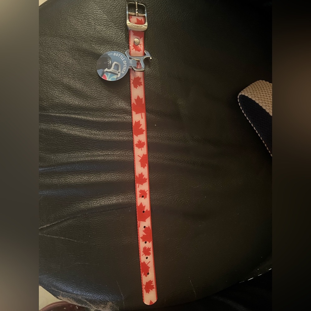 Kurgo Dog Collar